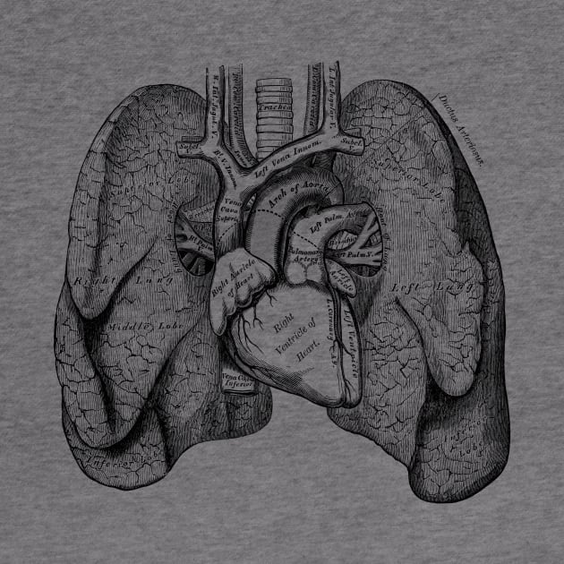 Human Lungs by be yourself. design